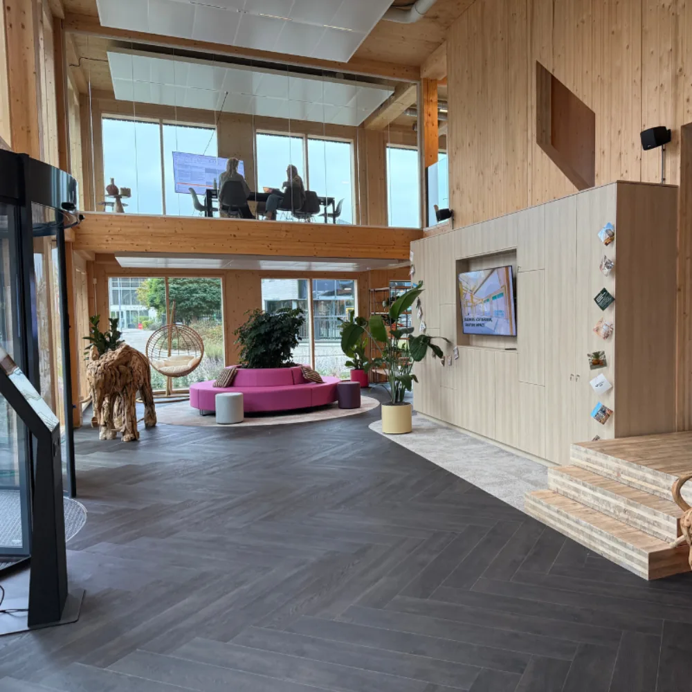 Lokatie hambakenwetering, Tumber, 's-Hertogenbosch